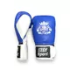 ПЕРЧАТКИ БОКСЕРСКИЕ BIG SPORT (Blue) (Изображение 2)