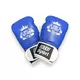 ПЕРЧАТКИ БОКСЕРСКИЕ BIG SPORT (Blue) (Изображение 1)