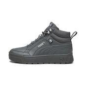 Кроссовки Puma Tarrenz SB III (Gray-Shadow)